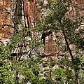Angel Landing in Zion