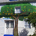 Tree House in Spain